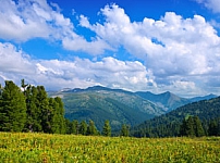 Ekin Ormancılık 7
